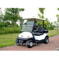 Buggy de golfe elétrico de bateria de troiano 48V 2 lugares